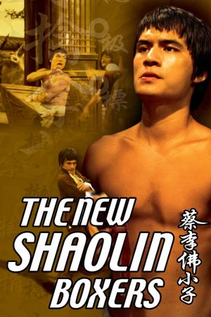 The New Shaolin Boxers's poster