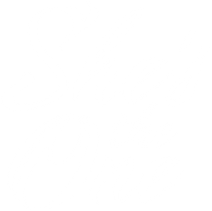 She's the One's poster