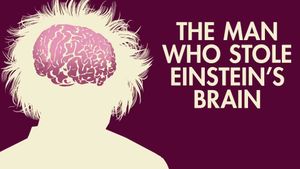 The Man Who Stole Einstein's Brain's poster