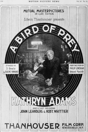 A Bird of Prey's poster