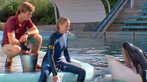 Jaws 3-D's poster