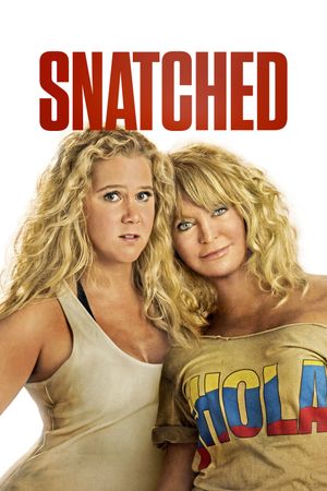 Snatched's poster