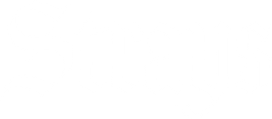 Strays's poster