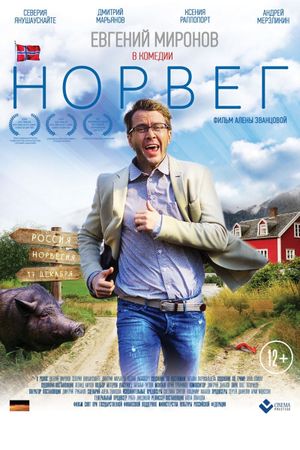 The Norseman's poster