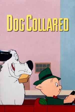 Dog Collared's poster