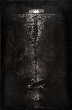 Canary's poster