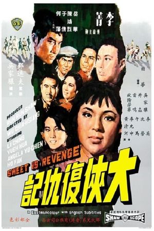Da xia fu chou ji's poster image
