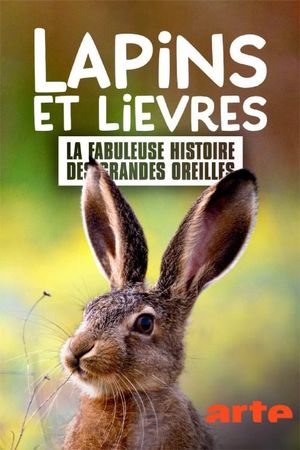 Lapins et lièvres - La Fabuleuse histoire des grandes oreilles's poster