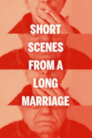 Short Scenes from a Long Marriage's poster