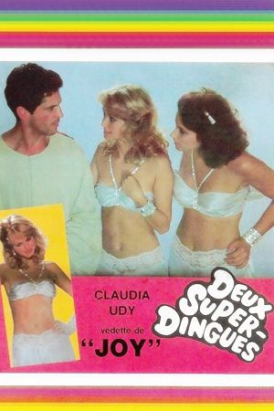Deux super-dingues's poster