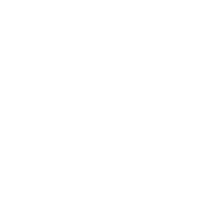 The Wedding Guest's poster