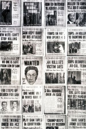 Summer of Sam's poster