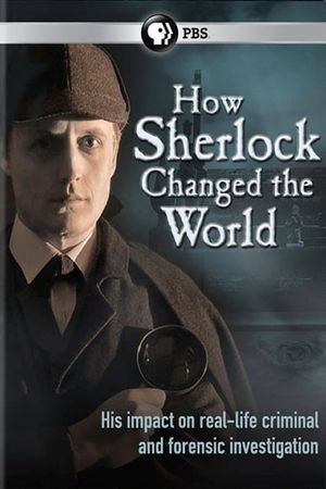 How Sherlock Changed the World's poster