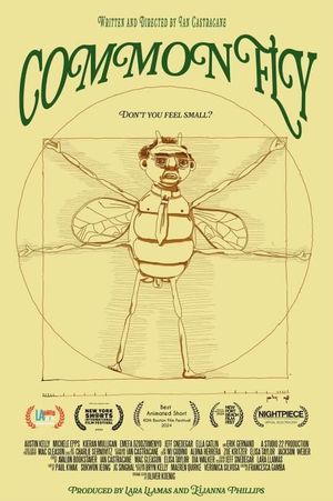 Common Fly's poster