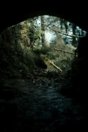 The Beast's poster