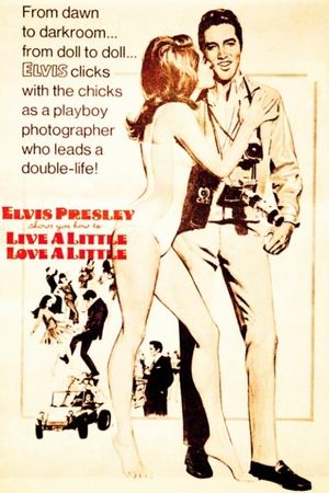 Live a Little, Love a Little's poster