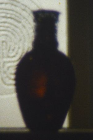 Disappearances's poster