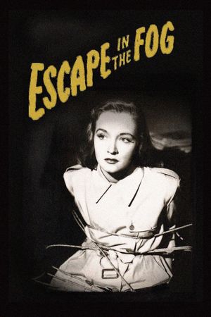 Escape in the Fog's poster