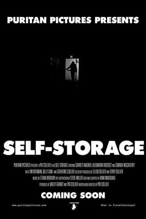 Self-Storage's poster