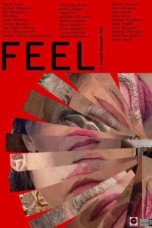 FEEL's poster