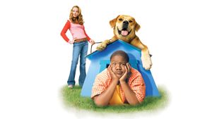 Life Is Ruff's poster
