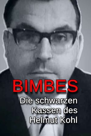 Bimbes: Die schwarzen Kassen des Helmut Kohl's poster