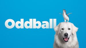 Oddball's poster