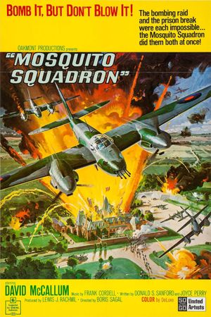 Mosquito Squadron's poster