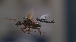 Ant-Man and the Wasp's poster