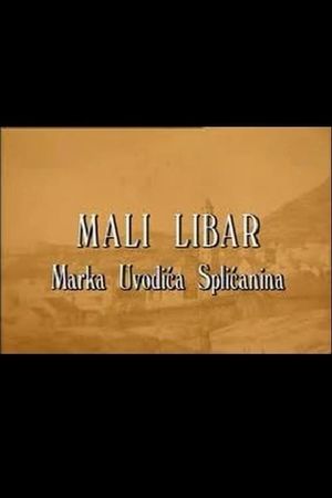 A Little Inscription of Marko Uvodic from Split's poster