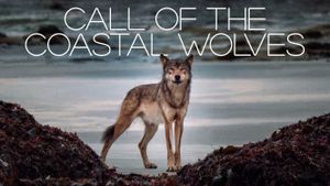 Call Of The Coastal Wolves's poster