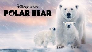 Polar Bear's poster