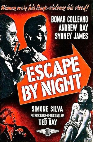 Escape by Night's poster
