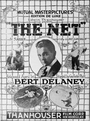 The Net's poster