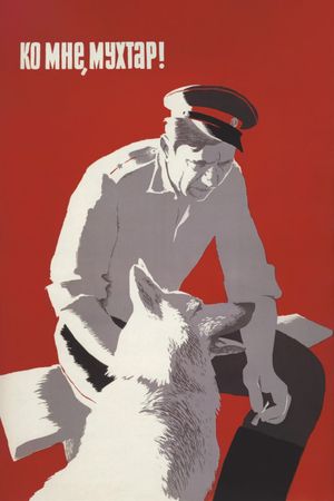 Ko mne, Mukhtar!'s poster