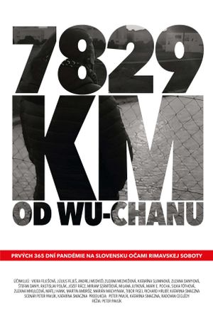 7829 km od Wu-chanu's poster image