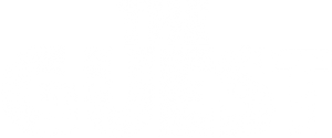 The Guest's poster