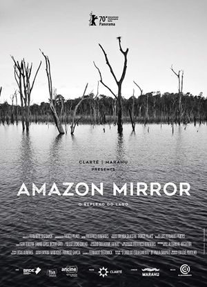 Amazon Mirror's poster