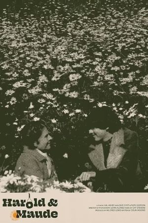 Harold and Maude's poster