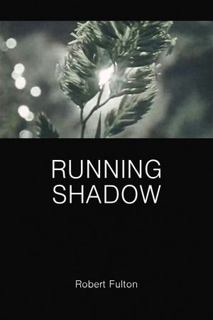 Running Shadow's poster