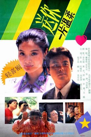送你一片温柔's poster