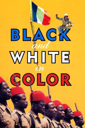 Black and White in Color's poster