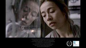 The Last Veil's poster