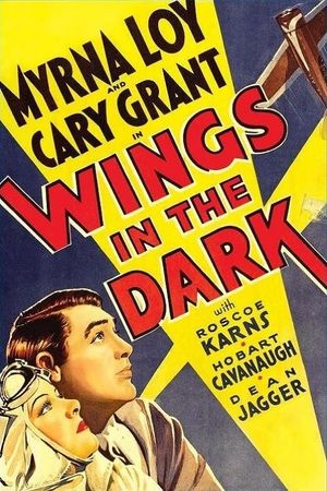 Wings in the Dark's poster