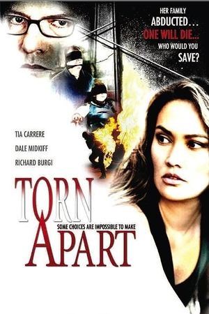 Torn Apart's poster