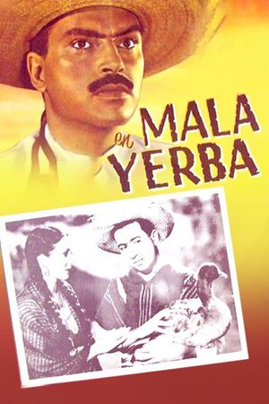 Mala yerba's poster