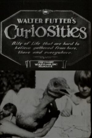 Walter Futter's Curiosities's poster