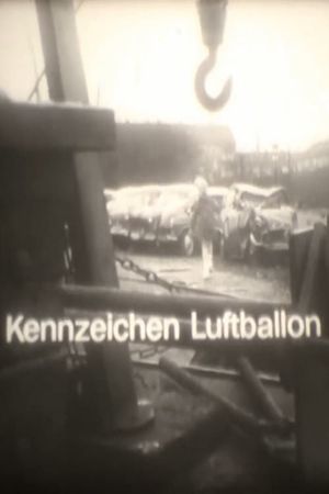 Kennzeichen Luftballon's poster image