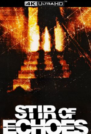 Stir of Echoes's poster