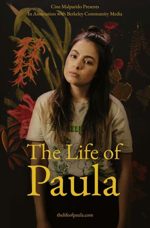 The Life of Paula's poster image